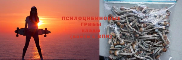 ПСИЛОЦИБИНОВЫЕ ГРИБЫ Медногорск