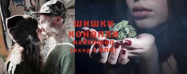 трава Медвежьегорск