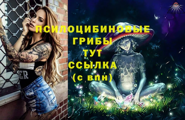 трава Медвежьегорск