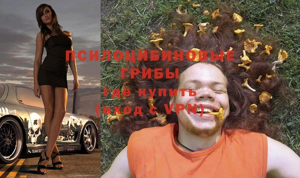 трава Медвежьегорск