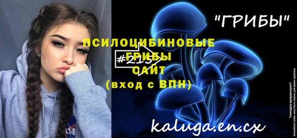 трава Медвежьегорск