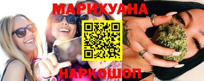 прущие грибы Заводоуковск