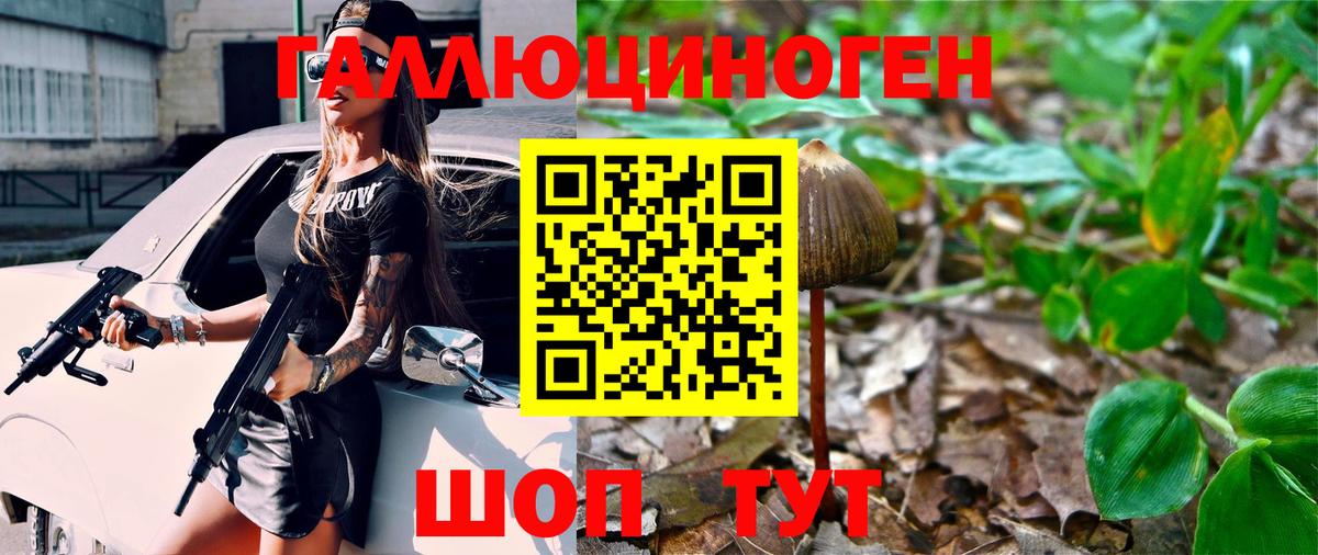 Псилоцибиновые грибы Magic Shrooms Красноярск